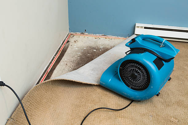 Best Water damage restoration near me  in Stockton, UT